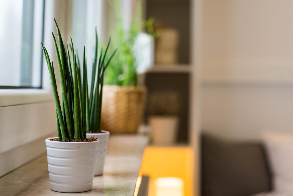 Apartment Tespis - Andersa Kattowitz